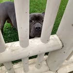 Jane Murakami - @murakami5268 - Instagram