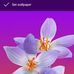 Jane Muriithi - Facebook