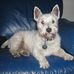 Jane Murrell - Facebook