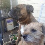 Jane Murrell - @enaj666 - Instagram