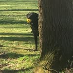 @janemurrells40 - Instagram