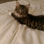 Jane Musson - @janemusson1 - Instagram