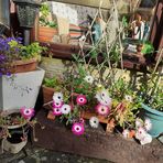 Jane Musson - Facebook