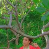 janemilan - @janemilan - TikTok