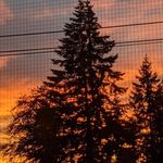 Janet Nadeau - @janet.nadeau.77 - Instagram