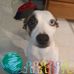 Mary Jane Nadeau - Facebook
