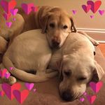 Jane Nagy - @jane.nagy.75 - Instagram