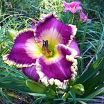 Jane D Nall - @janednall - Instagram