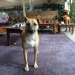 Jane Napier - @jane.napier.165 - Instagram
