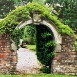 Jane Napier - @teachers_cottage - Instagram