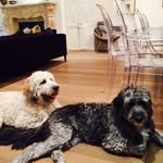 Janice Nathanson - @nathansonjanice - Instagram