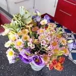 Jane Neill - @jane.neill50 - Instagram