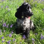 Jane O'Neill - @janeaoneill - Instagram