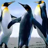 janenellist - @janenellist - TikTok