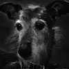 Jane Nettleton747 - @janenettleton747 - TikTok