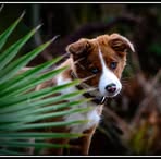 Jane Nettleton - Facebook