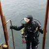 janetnettletonpar - @janetnettletonpar - TikTok