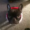 Jane Nevins - @jane.nevins - TikTok