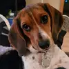 Janet Nevins Harris - @janet.nevins.harr - TikTok