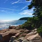 Jane Newhouse - @janenewhouse - Instagram