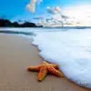 Janet.Newhouse - @janetnewhouse - TikTok