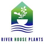 Jane Newkirk - @riverhouseplants - Instagram