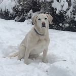 Jane Newkirk Brady - @jnewkbrady - Instagram