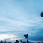 jane_nickel55 - @jane_nickel55 - Instagram