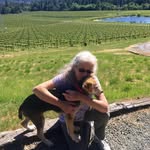 Jane Nickel - @janenickel - Instagram