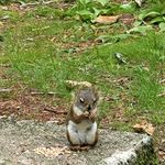 Jane Andy Nickerson - @janeandynickerson - Instagram