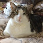 Denise Jane Nicklin - @denise.nicklin.5 - Instagram