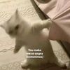 JOM🦢 - @janenier_vibesss - TikTok