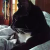 Jane Nightngale - @jane_nightngale - TikTok