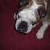Jane English Nimmo - Facebook