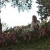 Jane Nimmo Lejeune - Facebook
