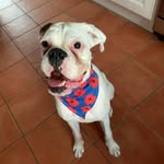 Jane Nixon - @jane.nixon.18 - Instagram