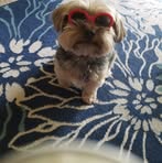 Jane Norcross - Facebook
