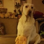 Jane Shacklock, Nottingham United Kingdom - @janey2271 - Instagram