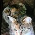 Jane Null - Facebook