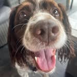 Jane Nuttall - @jane.nuttall - Instagram