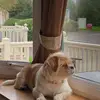 janet.nutter - @janet.nutter - TikTok