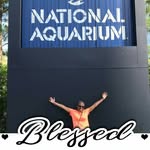 Janice Nutter - @janicenutter - Instagram