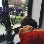 Jane Oberman - @sjusuccess - Instagram