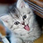 Lisa Jane Odgers - Facebook