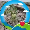 janeogore - @janeogore1 - TikTok