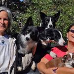 Jane Okamura Sanders - @janeokamurasanders - Instagram