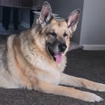 Beverly Jane Olney - @beverlyjaneolney - Instagram