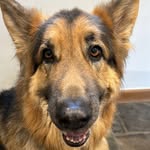 @olneyjane1969 - Instagram