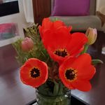 Jane Olson - @jane.olson322 - Instagram