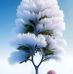 Jane Orina - Facebook